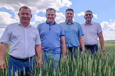 Как работают селекционеры в растениеводстве?